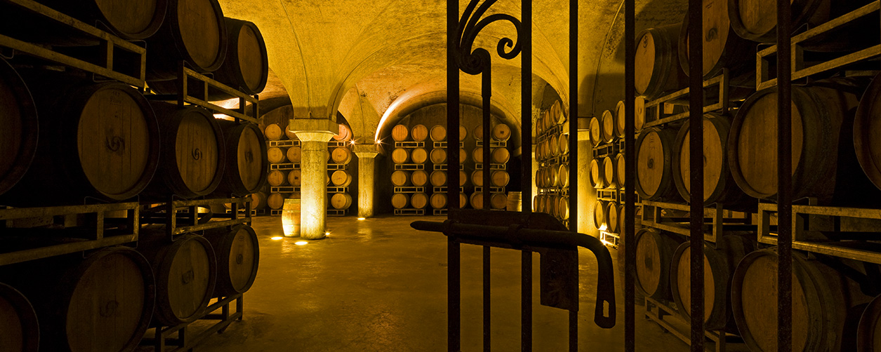 VISITA ALLE CANTINE VILLA SPARINA