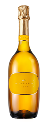 BRUT METODO CLASSICO BLANC DE BLANCS