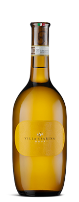Gavi